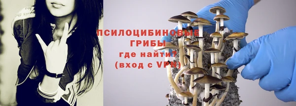 прущий лед Аркадак