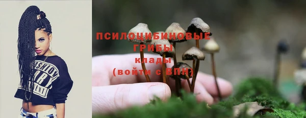 мяу мяу мука Армянск