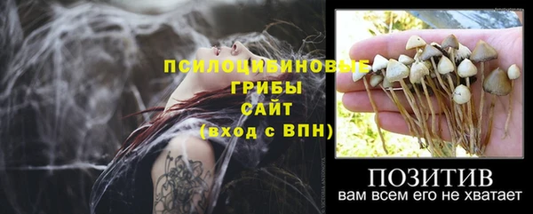 прущий лед Аркадак