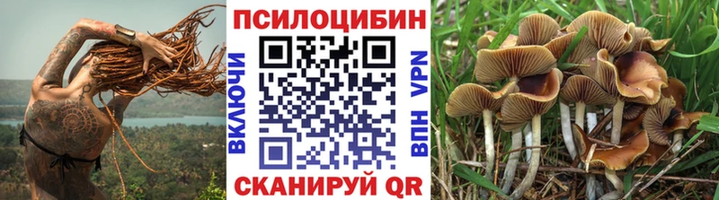 Галлюциногенные грибы мухоморы  даркнет формула  Ачинск 