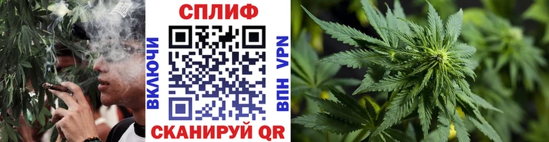 Каннабис Amnesia  Ачинск 